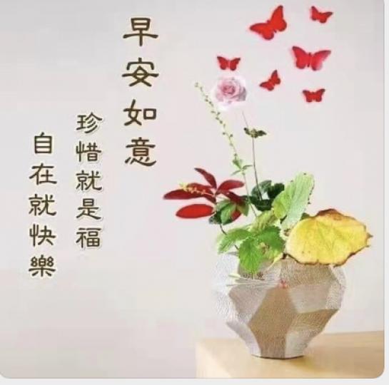 早晨，8號風球的早上，祝各位安好...