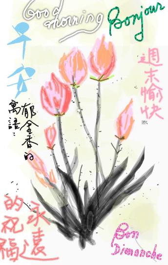 祝願幸福安康！
朋友好！...