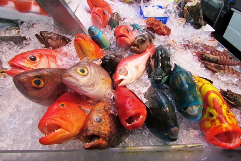 去到沖繩魚市場、看到那麼新鮮和漂亮的海鮮、當然要吃魚生喇、美味啊！...