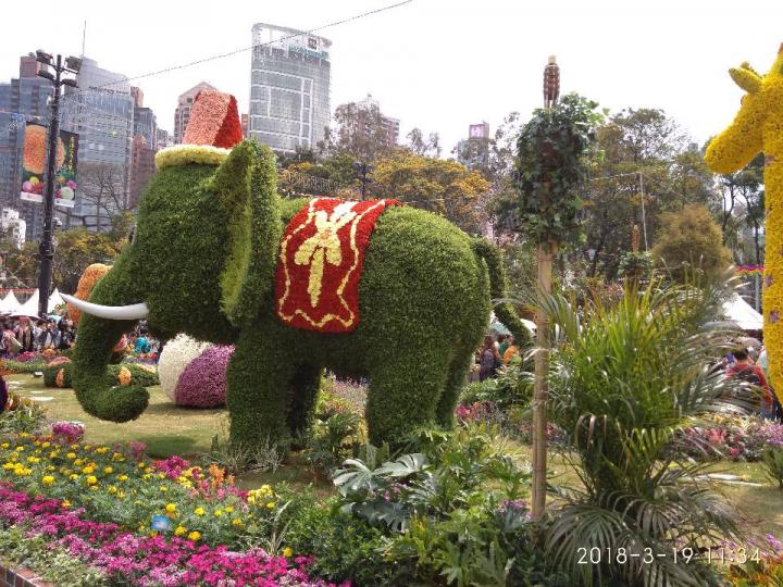 2018香港花展之大象迎賓遗妙遗俏...