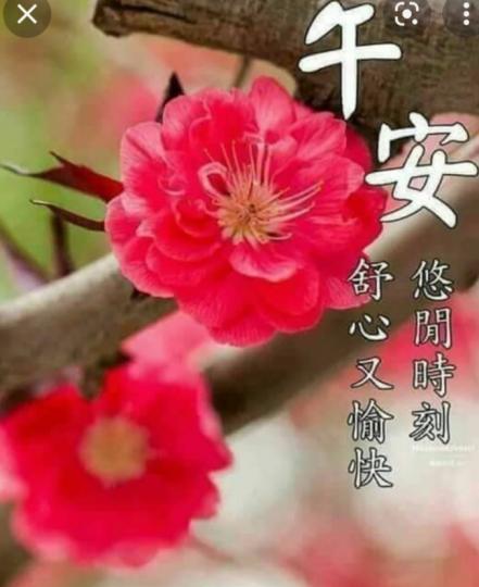 大家好，願有一個美好的下午，
祝安康！...