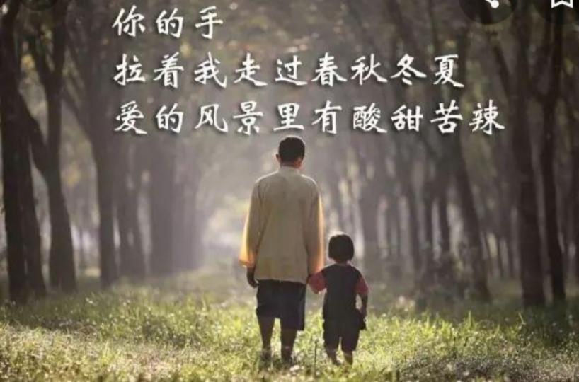 各位朋友午安,
父親的雙手
撑起了家,
也牽起了
家人的心！...