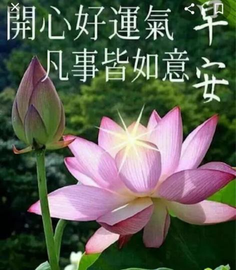 各位朋友早安，
祝願開心如意
好運氣！...
