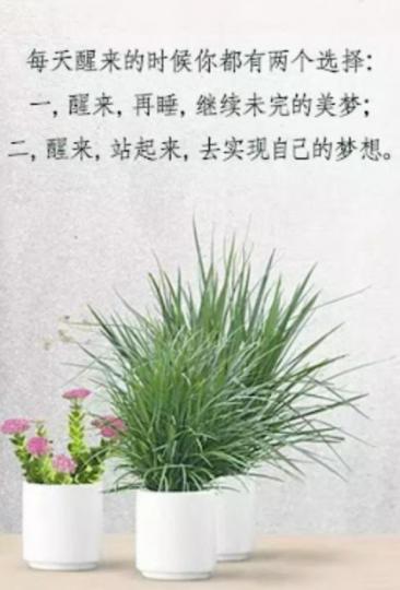 各位朋友早安，
空想與行動！...