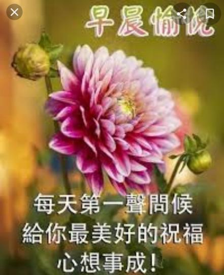 各位朋友早安，
祝愉快！...