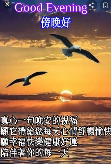 各位朋友傍晚好，
夕陽灑在身上，
願美好，順意，愉快！...