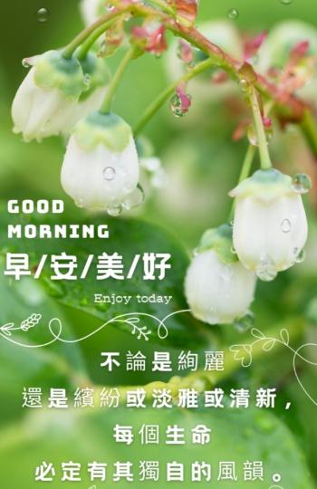 各位朋友早安，
迎接一天美好！...