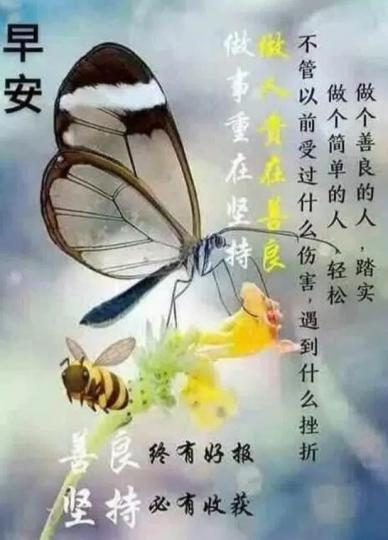 各位朋友早安，
順心如意！...