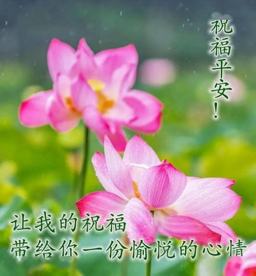 雨天的祝福：
謹記平平安安！...