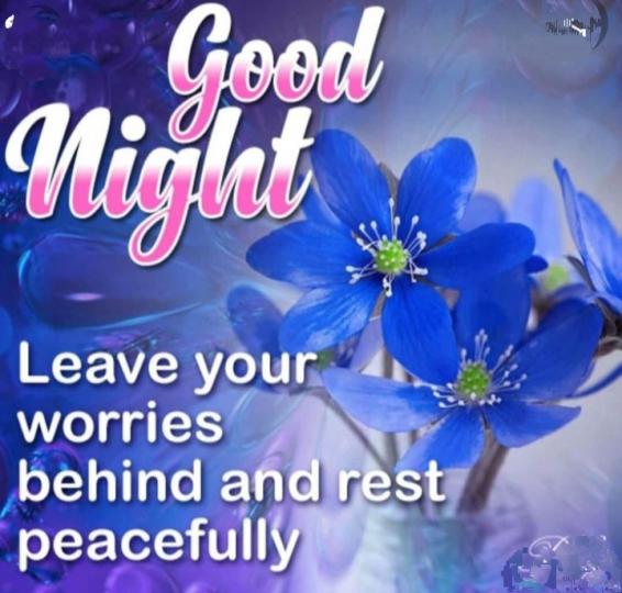 祝願大家有個
平靜美好的夜晚！...