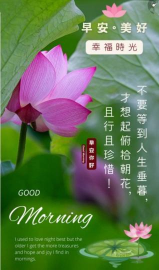 早安
且行且珍惜
此刻美好！...