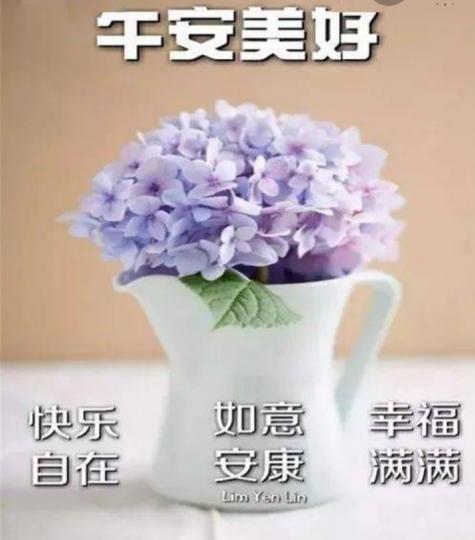 午安，
祝福愉快如意！...