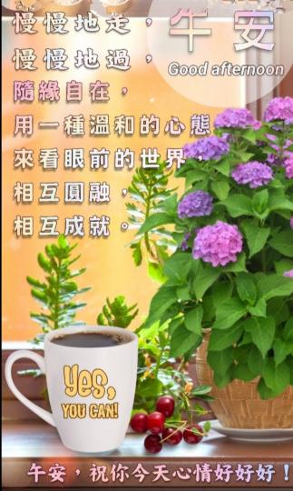 隨緣自在，
温和看世界，
輕鬆愉快！
午安！...
