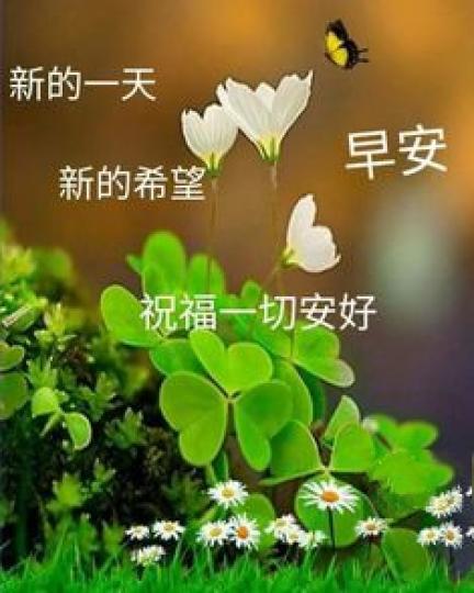 送上片片四葉草,
幸福即來到！
早安！...