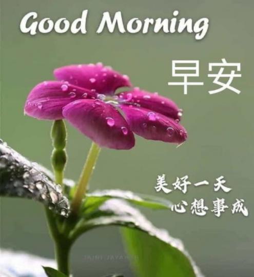 早安，
朋友，
健康愉快！...