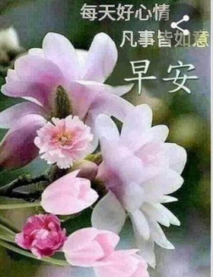 朋友早安，
祝福平安
順心如意！...