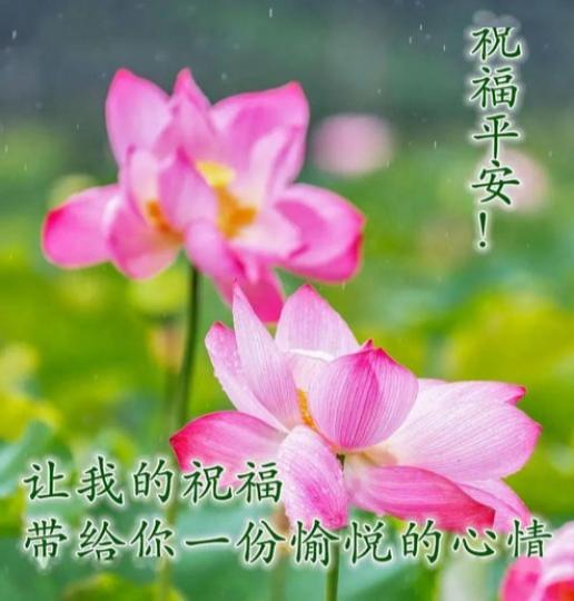 午安朋友，
祝願心情愉快，
身體好！...