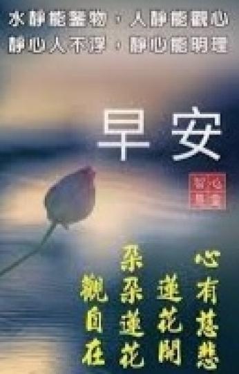 水靜鑒物，
人靜觀心！
朋友早安！...