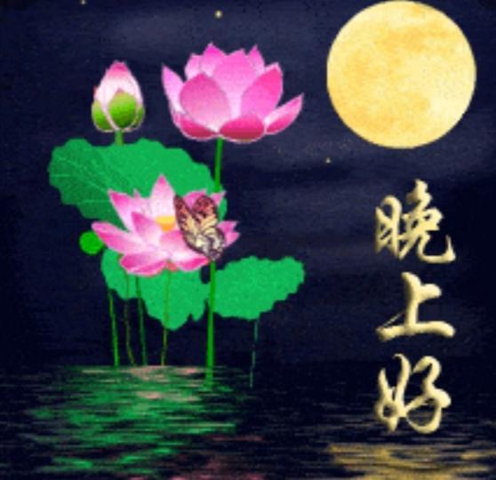 明月當空照，
睡個好覺！
晚安朋友！...