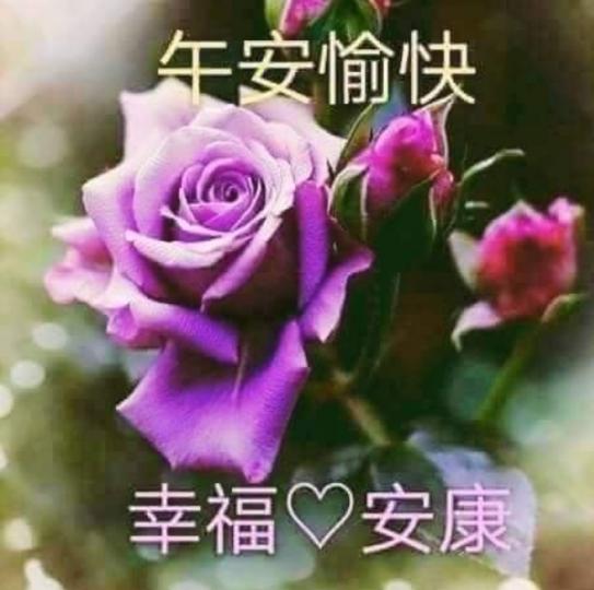 朋友午安
愉快幸福
安康！...