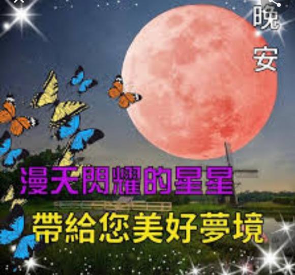 願星星帶給你
美好夢境,
晚安！...