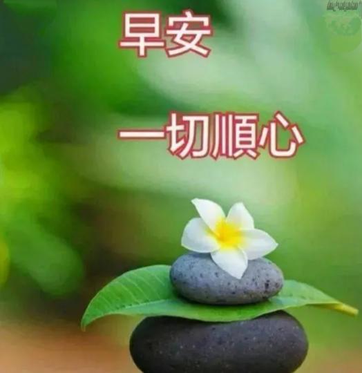 祝願平安
健康！
朋友早！...
