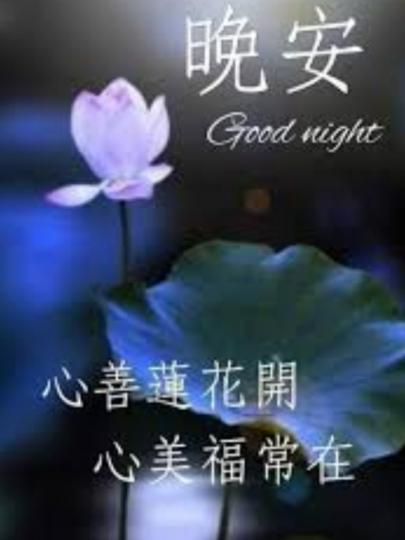 朋友晚安，
願心靜好眠！...
