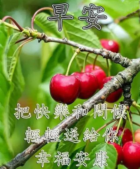 心平氣和
人如意，
朋友早！...