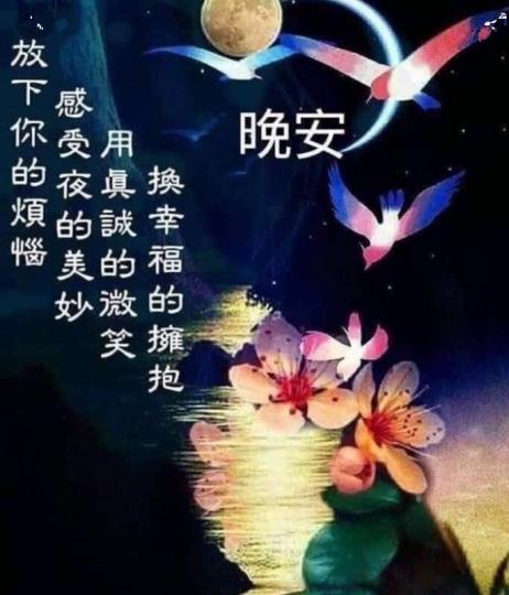 朋友晚安，
感受夜的
美好！...