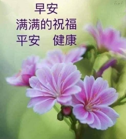 朋友早，
打風外出
要加倍留神！...
