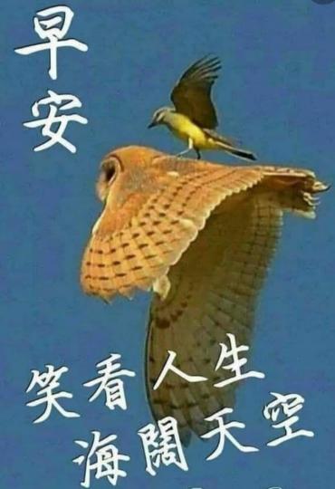 天高海闊
任飛翔，
朋友早！...