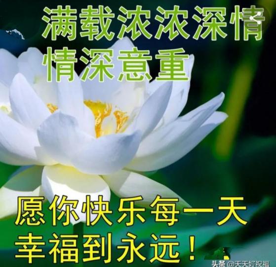 朋友早，
祝願愉快
安康！...