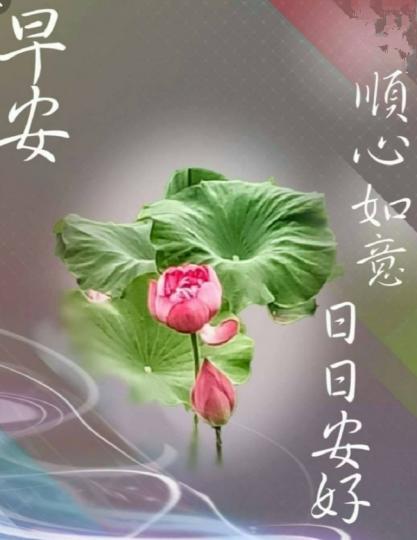 祝願順心如意,
朋友早！...