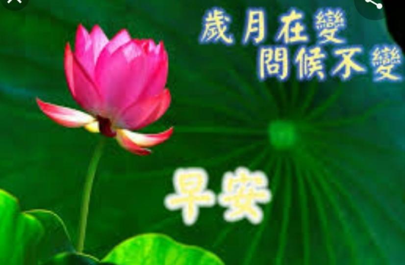 早安,
福氣滿滿,
事事順！...