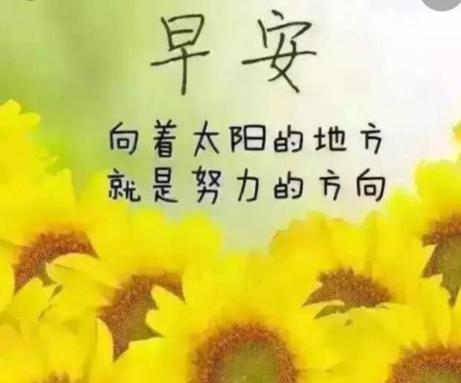 朋友早,
向著太陽,
努力奔跑！...