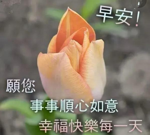 祝願平安
順心,
明友早！...