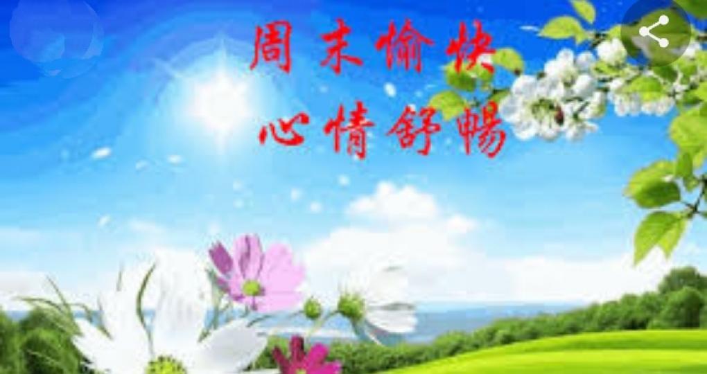 祝願好友
身體健康！...