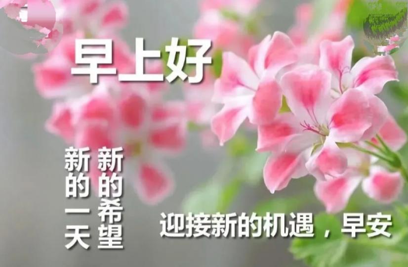 轻轻的問候,
滿滿的祝福！...