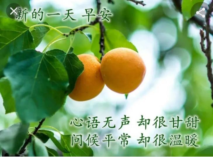 吃吃水果
身體好,
朋友早！...