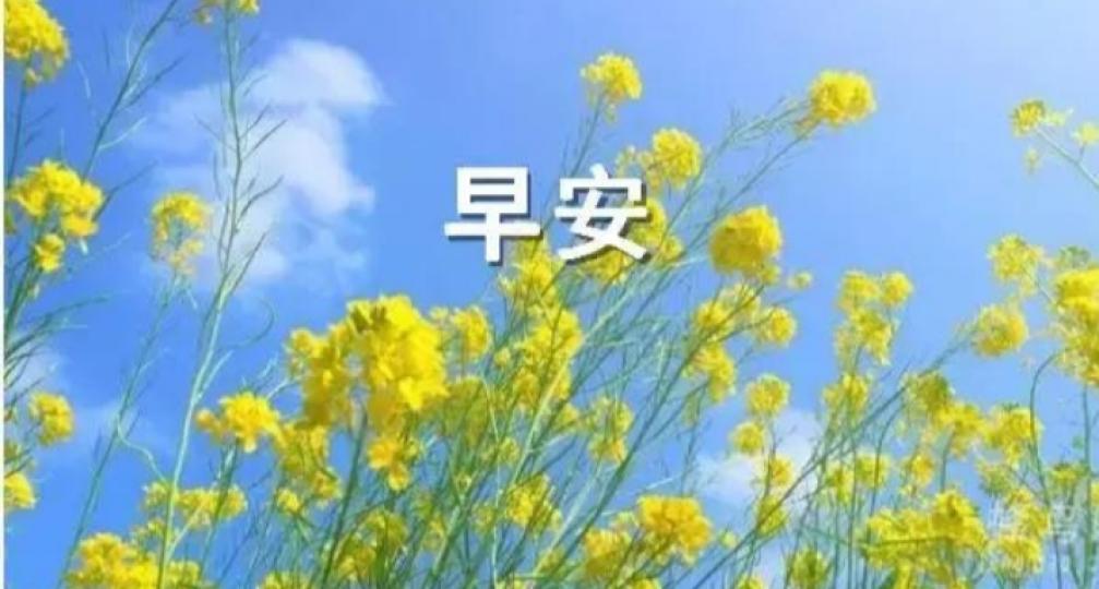 問候一 聲早,
幸福快樂全來到！...