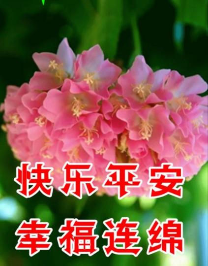 祝願大家
平安幸福！...