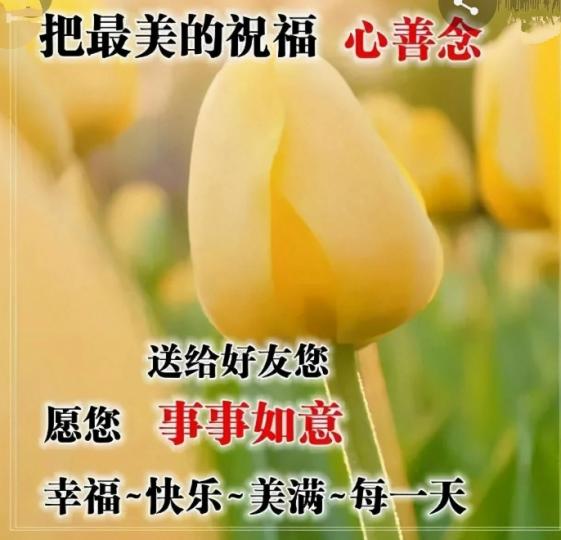 朋友們,
祝福大家
事事如意！...