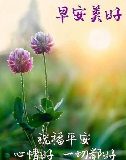 自然而然,
隨心就好！...