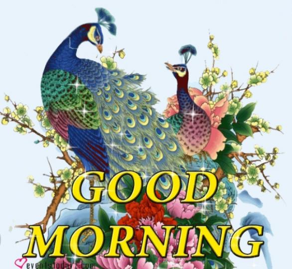 祝願朋友
心情好！
身體健康！...