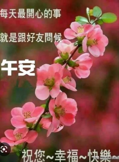 祝福朋友
午安！
享用豐富
午餐！...