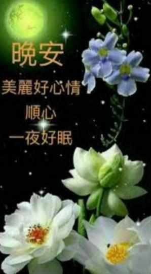 寧靜的夜
美麗的夢
朋友晚安！...