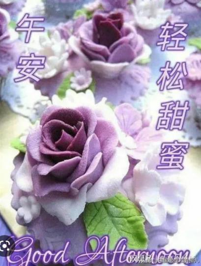 午安朋友
輕輕鬆鬆
午餐甜蜜！...