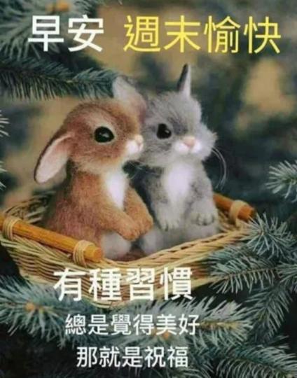 祝願朋友
事事順利！...