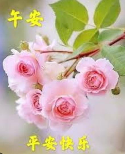 平安快樂，
朋友午安！...