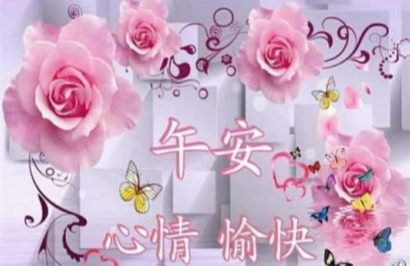 朋友午安
快樂如意！...